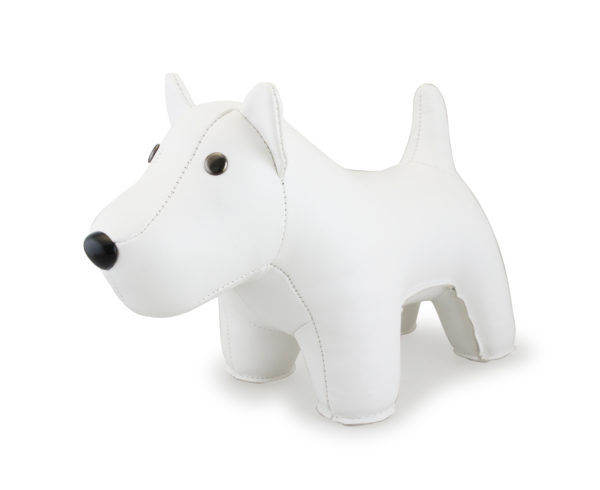 Chien terrier Zuny