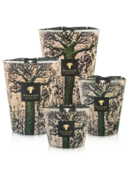 Sacred Trees Kani-Baobab collection