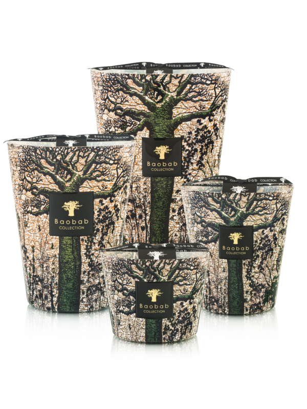 Sacred Trees Kani-Baobab collection