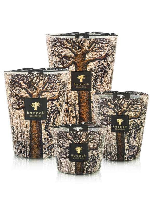 Sacred Trees Morondo-Baobab collection