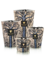 Sacred Trees Séguéla-Baobab collection