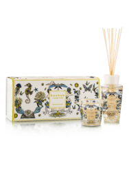 Coffret Tomorrowland Baobab Collection bougie Max 08 et diffuseur 250 ml