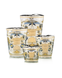 En vente chez Mise en Scène, bougie parfumée Tomorrowland Baobab Collection verre noir et or